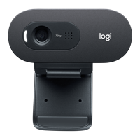 Logitech C505e HD Webcam Noir(e)